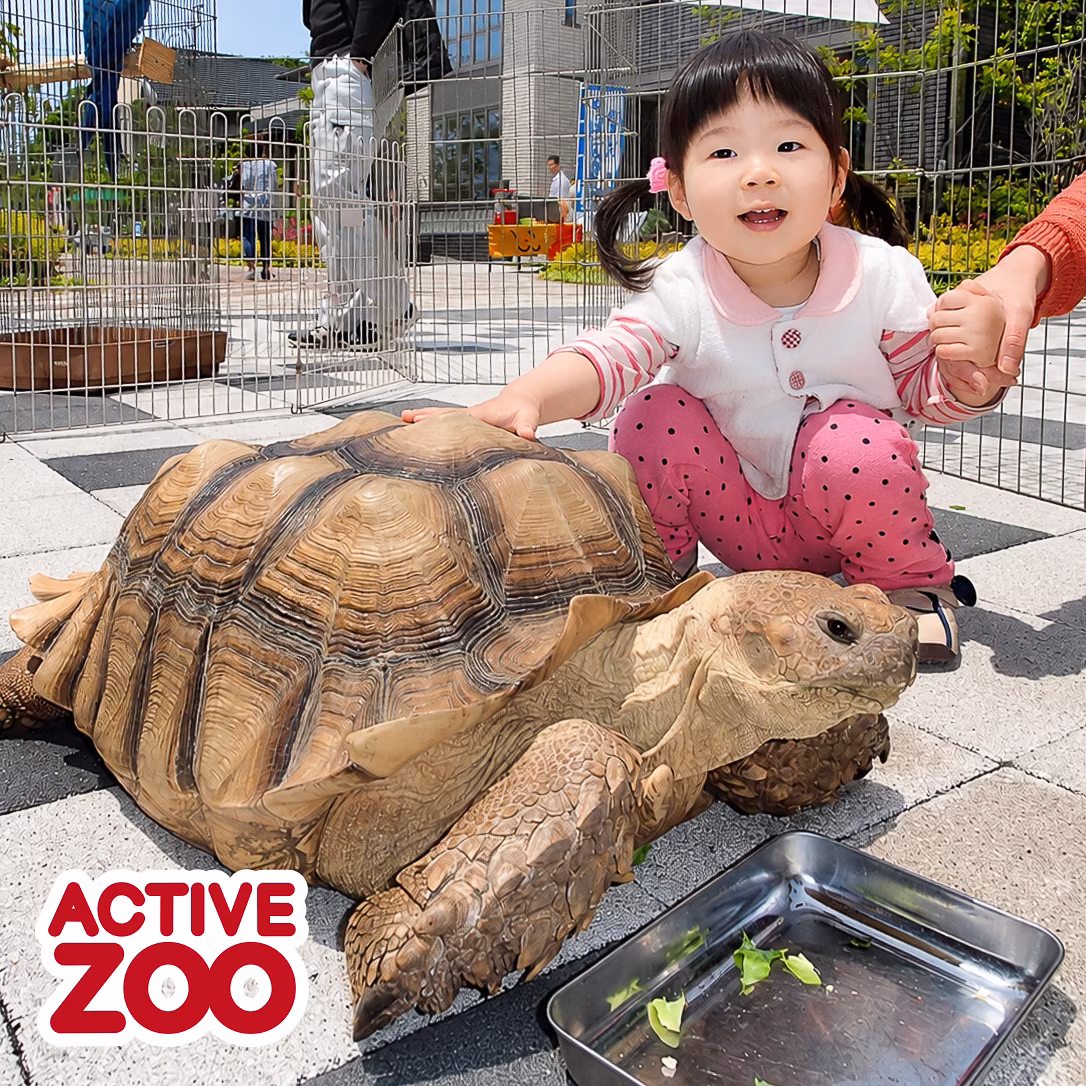 移動動物園